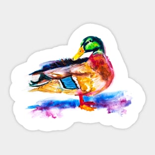 Cute Duck Sticker